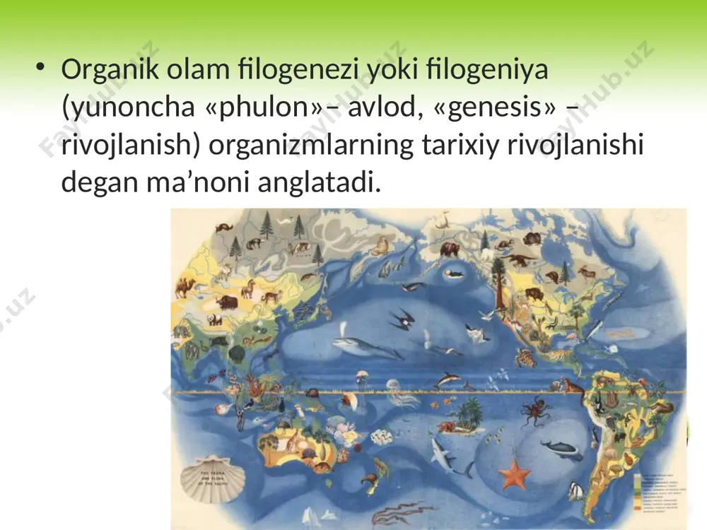 tiy jarayonni amalga oshiradigan, shu bilan bir qatorda o‘zaro aloqador va uzviy bog‘langan organlar paydo bo‘lgan. jinsiy ko‘payishning paydo bo‘lishi. ma’lumki, tirik organizmlar jinssiz va jinsiy usulda ko‘payadi. jinsiy ko‘payishda tuxum hujayra va spermatozoiddagi irsiy axborot yangi paydo bo‘lgan zigotada mujassamlashadi, yangi avlodda irsiy o‘zgaruvchanlik tufayli avvalgi organizmlarga nisbatan yangi belgilarni vujudga kelish ehtimolligi yuqori bo‘ladi. allogenez – (yunoncha «allos» – o‘zgacha, boshqa, «genesis» – rivojlanish) organizmlarda tashqi muhit sharoitiga moslanish jarayonida yangi belgi-xususiyatlar asosida xususiy moslanish (idioadaptatsiya)ni vujudga keltiradigan evolutsion yo‘nalish sanaladi. biologik progress ba’zan organizm tuzilishining soddalashuvi hisobiga ham sodir bo‘ladi. filogenezda mazkur yo‘nalish katagenez deb ataladi. katagenez – («kata» – tuban tomonga harakat, «genesis»– rivojlanish) – organizm tuzilishini umumiy soddalashuviga – umumiy degeneratsiyaga olib keladigan evolutsion yo‘nalish. umumiy degeneratsiya, ya’ni morfofiziologik regress – organizm faol hayot kechirishi uchun zarur bo‘lgan organlar sistemasining soddalashuviga yoki yo‘qolishiga olib keladi. umumiy degeneratsiya biologik progressga yo‘llovchi yo‘nalish sifatida organizmlarning faol, harakatchan …