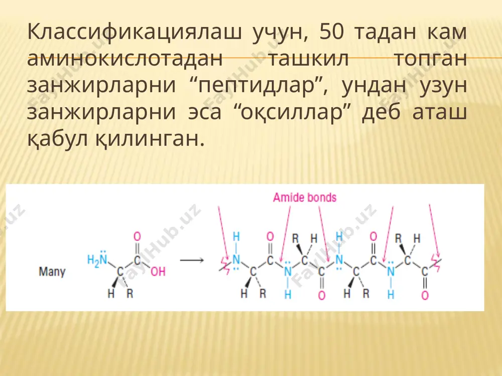 лимер моддалар. аминокислота қолдиқлари бир-бири билан амид боғ (пептид боғ) билан боғланган. биринчи аминокислота қолдиғининг амино гуруҳи иккинчи аминокислота қолдиғининг карбоксил гуруҳи билан, иккинчи аминокислота аминогуруҳи эса учинчи аминокислота карбоксил гуруҳи билан амид боғ ҳосил қилади, шу тариқа занжир давом этиб кетади. масалан, расмда аланин карбоксил гуруҳидан ва серин аминогуруҳининг бирикишидан ҳосил бўлган дипептид келтирилган: полипептид таркибидаги аминокислоталарни бир-бирига боғлаб турган амид боғи бир-биридан фарқланмайди. амид боғида азот асослик хоссани намоён қилмайди, чунки унинг жуфтлашмаган электрон жуфти карбонил гуруҳ таъсири натижасида делокаллашган. азотнинг p орбиталларининг карбонил гуруҳ p орбиталлари билан қопланиши ҳисобига маълум характерли аниқ миқдордаги c–n атомлари ўртасида қўшбоғ ҳосил бўлади ва унинг атрофида ҳаракат чегараланган. шунинг учун амид боғ планар характерли ҳисобланади ва n–h боғи c=о боғга нисбатан 180˚ бурчак остида жойлашган. иккинчи тур ковалент боғ дисульфид rs-sr боғнинг қўшилиши натижасида ҳосил бўлади. дисулфид боғ ҳосил бўлиши икки цистеин молекуласининг қўшилишидан ҳосил бўлади: оқсиллар ҳам амфотер хоссага эга …