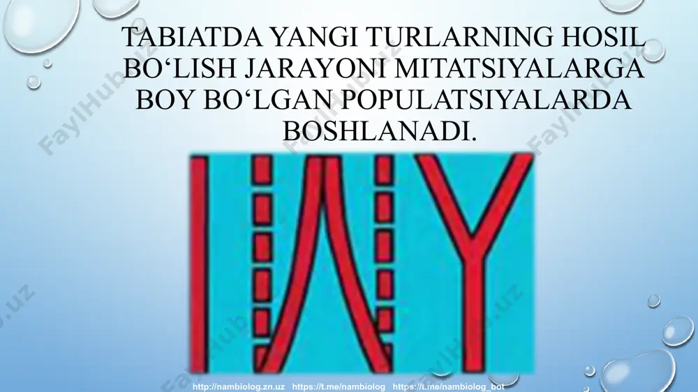 qirilib ketishiga, o‘zgargan muhitga moslashganlarining esa yashab qolishiga sababchi bo‘ladi. http://nambiolog.zn.uz https://t.me/nambiolog https://t.me/nambiolog_bot ushbu rasmda siz a turdan vaqt o‘tishi bilan uchta, в turdan ikkita yangi tur kelib chiqqanligini ko‘rib turibsiz. bu yangi turlardagi o‘zgarishlar o‘z navbatida 14 ta yangi turni hosil qilganligi ifodalangan. ayrim hollarda bir tur asta-sekin o‘zgarib, boshqa turga aylanadi. turlarning son jihatdan ko‘paymay o‘zgarib, e, f turlarning e10, f10 turlariga aylanganligi bunga misol bo‘la oladi. http://nambiolog.zn.uz https://t.me/nambiolog https://t.me/nambiolog_bot yangi turning paydo bo‘lishi ajdod turning yagona, o‘zaro bog‘liq bo‘lgan genlar, xromosomalar majmuasini buzib, yangi genofondini vujudga keltirish orqali amalga oshadi. http://nambiolog.zn.uz https://t.me/nambiolog https://t.me/nambiolog_bot tur paydo bo‘lishining tiplari ikki xil yo‘nalishda kechadi allopatrik yoki geograﬁ k tur paydo bo‘lishi. simpatrik yoki ekologik tur paydo bo‘lishi. http://nambiolog.zn.uz https://t.me/nambiolog https://t.me/nambiolog_bot tur paydo bo‘lishining birinchi turida geograﬁk to‘siqlarning paydo bo‘lishi, ikkin chi turida reproduktiv to‘siqlarning paydo bo‘lishi populatsiyalar o‘rtasida genlar almashinuvining to‘xtashiga sabab bo‘ladi. a – allopatrik tur paydo bo‘lishi; b …
