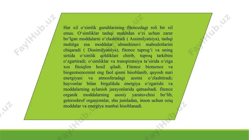 fitotsenozning yer ostki qismi - Page 3