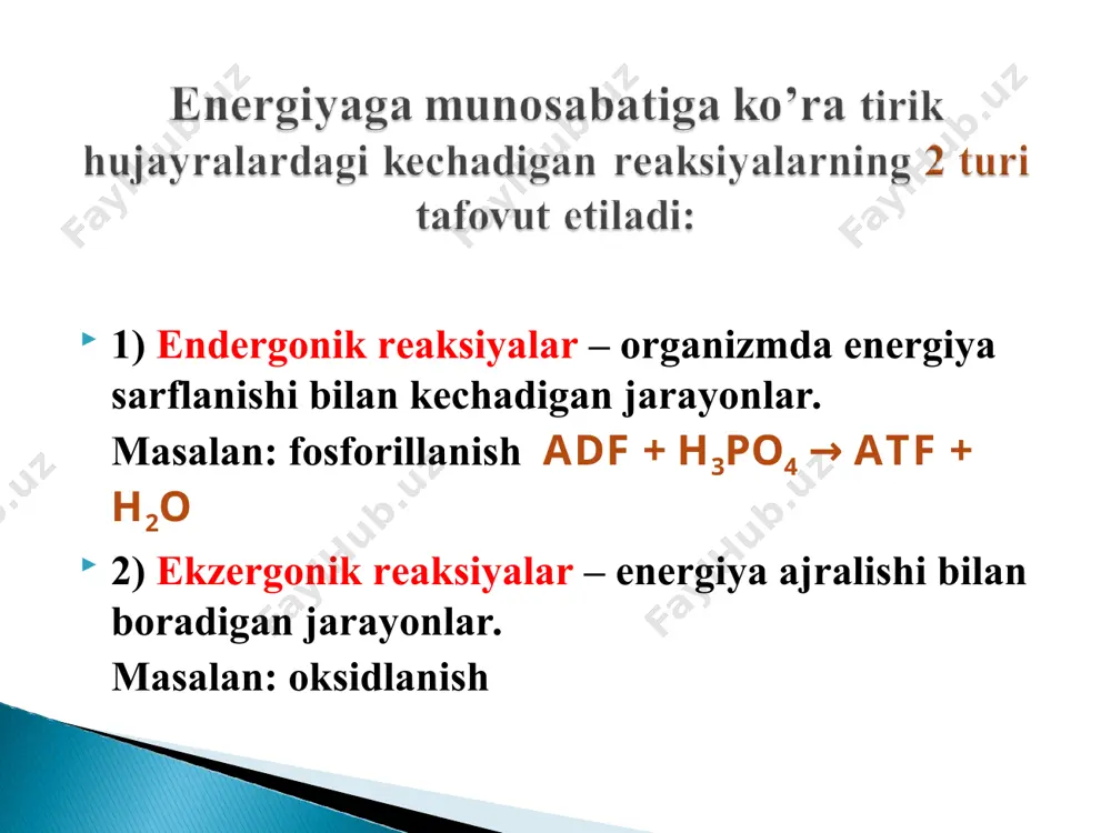 prоstеtik guruh sifаtidа fаd yoki fmn sаqlаydi. 3) ubixinon – koenzim q 4) sitохrоmlаr.- gemli fermentlar. elektron tashiydi. nimotinamidadenindinukleotid prostetik gruppa sifatida fad yoki fmn tutadi. ularning asosiy tarkibiy qismi bo’lib vitamin b2 – riboflavin hisoblanadi. piridinga bog’liq bo’lgan degidrogenazalardan farqli o’laroq, flavinga bog’liq bo’lgan degidrogenazalar bir va undan ko’p fad va fmn tutadilar, oqsil qismi bilan kuchli bog’langandir va murakkab oqsil – flavoproteidni hosil qiladi. flavinga bog’liq bo’lgan degidrogenazalar vodorod atomlarini izoalloksazan xalqasining birinchi va beshinchi azot atomlariga biriktiradi. flavinadenindinukleotid flavinmonoadeninkislota n conh2 + r + h–substrаt–h qаytаrilgаn shаkli conh2 n r h h + h+ + substrаt оksidlаngаn shаkli n n n n n n n n r r h h h h ch3 ch3 ch3 ch3 o o o o nаd+ nаdh fаd fаdh2 +2h+ - 2h+ mitoxondriyalarning lipid qismidan ajratib olingan bo’lib xinon xalqasi va uzun izoprenoid zanjiridan iborat. fad+ va fmn+dan proton va elektronlar oldin …