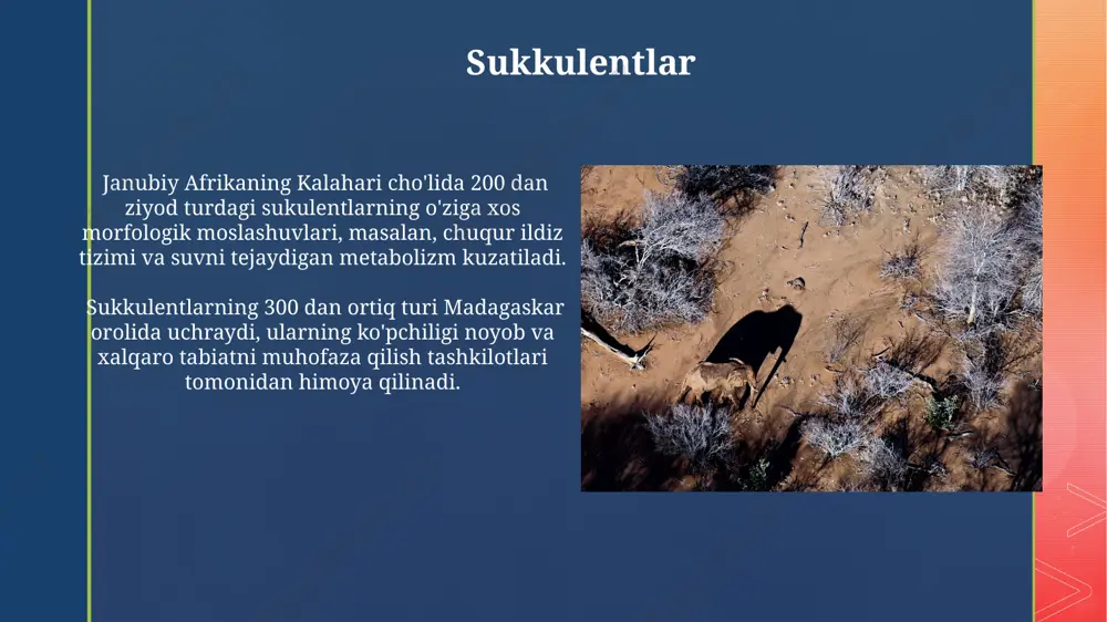 metrdan baland bo‘lishi mumkin. cho'l iqlim xususiyatlari cho'l hududlarida, masalan, namibiya cho'lida, kun va tun harorati o'rtasidagi farq 30°c ga yetishi mumkin, bu o'simliklar va hayvonlar uchun qiyin sharoit yaratadi. cho'l iqlimida yillik yog'in miqdori 250 mm dan kam bo'lib, o'rtacha harorat 30°c dan yuqori, masalan, qoraqalpog'istonning qonliko'l cho'lida. cho'lda yashovchi sudralib yuruvchilar sahroi kabirda yashovchi 30 dan ortiq kaltakesak turi, o'z tanasining haroratini tartibga solish uchun kunning issiq vaqtlarida yer ostiga yashirinib, energiya tejashga moslashgan. cho'l sharoitiga moslashgan gekko turlari, jumladan, 20 dan ortiq turdagi phelsuma gekkolari, namibiya cho'llarida yuqori haroratga chidamliligi bilan ajralib turadi. e'tiboringiz uchun rahmat @taqdimot_robot image4.jpg image5.jpg image6.jpg image7.jpg image8.jpg image9.jpg image10.jpg image11.jpg image12.jpg image13.jpg image14.jpg image15.jpg image16.jpg image17.jpg image18.jpg image19.jpg image20.jpg image2.png image3.png