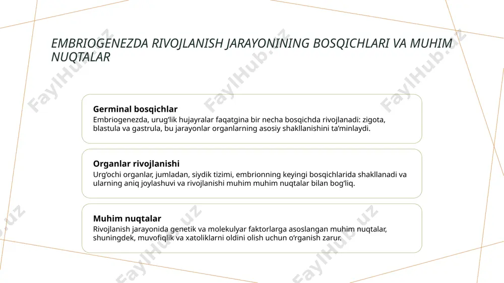 siydik ayiruv a’zolarining rivojlanish nuqsonlari - Page 5