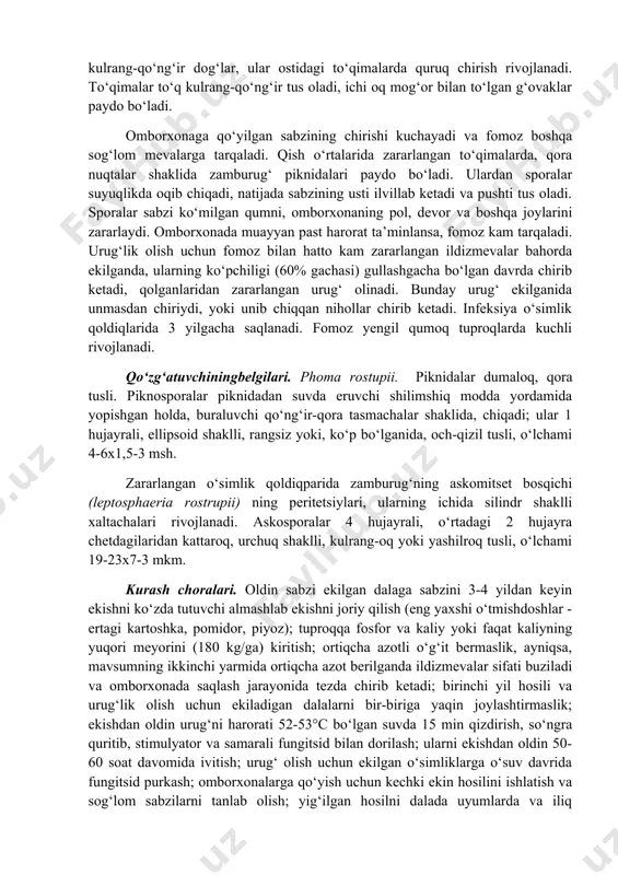 galchalar bilan qoplangan, o‘lchami 15-24x14-22 mkm. patogenning uredinio- va teliobosqichlari suvhilol (scirpus maritimus) da o‘tadi (pidoplichko, 1977a; vyangelyauskayte i dr., 1989). sabzining fomoz kasalligini phoma rostupii zamburug‘i qo‘zg‘atadi. o‘simliklarning barg, barg tomirchalari va bandlarida kulrang-qo‘ng‘ir chiziqchalar va uzunchoq dog‘lar paydo bo‘ladi. ildizmevalar ustida biroz botiq, kulrang-qo‘ng‘ir dog‘lar, ular ostidagi to‘qimalarda quruq chirish rivojlanadi. to‘qimalar to‘q kulrang-qo‘ng‘ir tus oladi, ichi oq mog‘or bilan to‘lgan g‘ovaklar paydo bo‘ladi. omborxonaga qo‘yilgan sabzining chirishi kuchayadi va fomoz boshqa sog‘lom mevalarga tarqaladi. qish o‘rtalarida zararlangan to‘qimalarda, qora nuqtalar shaklida zamburug‘ piknidalari paydo bo‘ladi. ulardan sporalar suyuqlikda oqib chiqadi, natijada sabzining usti ilvillab ketadi va pushti tus oladi. sporalar sabzi ko‘milgan qumni, omborxonaning pol, devor va boshqa joylarini zararlaydi. omborxonada muayyan past harorat ta’minlansa, fomoz kam tarqaladi. urug‘lik olish uchun fomoz bilan hatto kam zararlangan ildizmevalar bahorda ekilganda, ularning ko‘pchiligi (60% gachasi) gullashgacha bo‘lgan davrda chirib ketadi, qolganlaridan zararlangan urug‘ olinadi. bunday urug‘ ekilganida unmasdan chiriydi, …