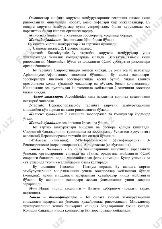 споранги бандлари оддий мицелийлардан фарқ қилмайди. булар ўсимлик ва сув ўтларида турли касалликларни юзага келтиради. бу оиланинг 1-авлоди – питиум киради. бу авлодга кирган замбуруғларнинг мицелиясининг учида зооспоралар жойлашган бўлади (конидия), лекин мицелияси зарарланган ҳужайралар ичида жойлашган бўлади. бу авлоднинг вакиллари асосан ўсимликнинг униш даврида зарарлайди. м-н: илдиз чириш касаллиги – питиум деборянум (ловлаги, карам, картошка). 2-оила – фитофторация – бу оилага кирган замбуруғларнинг мицелияси зарарланган ўсимлик ҳужайрасида ривожланади. мицелиялар ҳужайраларнинг тешиб ташқарига конидия бандларининг ҳосил қилади. конидия бандлари ичида конидиялар ёки зооспоралар жойланади. бу оилага – фитофтора авлоди киради. зарарланган ўсимликлар ҳужайралари ичида зооспорангий ўсиб 2 хивчинли зооспораларга айланади ва бу зооспоралар бошқа ўсимликларнинг зарарлайди. бу авлод вакили - фитофтора инфенстанс-картошкада фитофтороз касаллигини қўзғатади. 3-оила – переноспорация – булар облигат паразит ҳолда яшовчи паразит замбуруғлардир. улар ўсимликда сохта ун-шудринг касаллигини қўзғатади. бу оила вакиллари конидия бандларининг тузилишига қараб улар бир-нечта авлодга бўлинади ва уларнинг ичидаги конидияларнинг жойлашига қараб авлодлар …