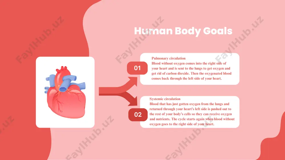 heart and vascular system - Page 5