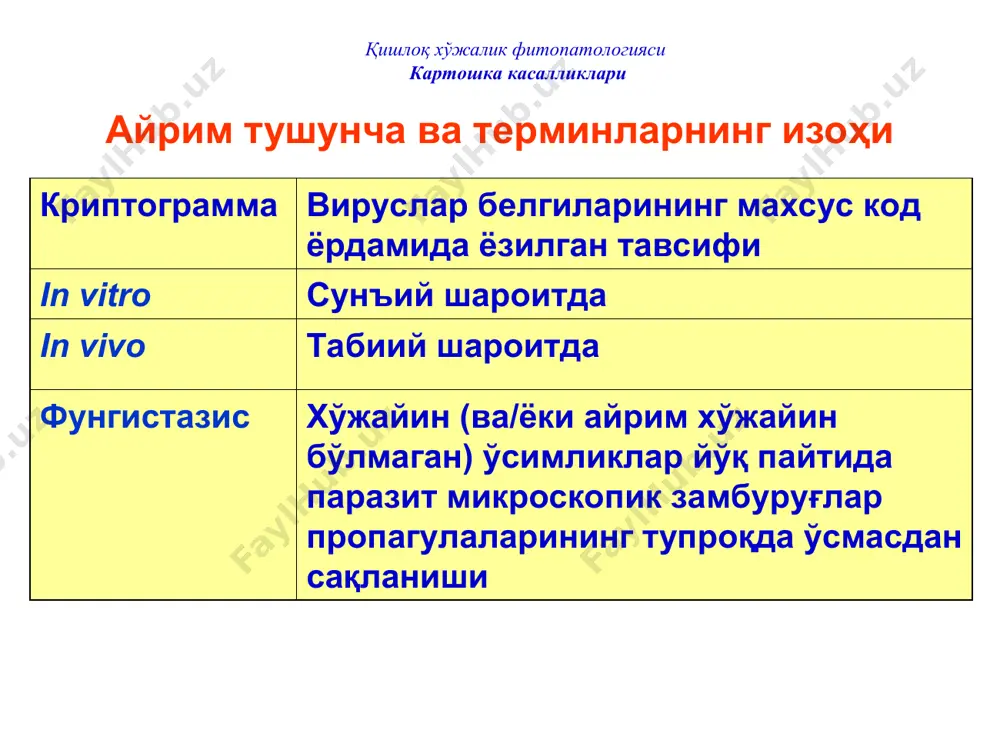 урлари: fusarium oxysporum – фузариум оксиспорум fusarium sambucinum – фузариум самбуцинум fusarium culmorum – фузариум кульморум fusarium solani – фузариум соляни ва баъзи бошқа fusarium туркуми турлари қишлоқ хўжалик фитопатологияси картошка касалликлари картошка туганаклари фузариоз қуруқ чириши картошка туганаклари ўсув даврида одатда зарарланмайди, уларнинг кўпчилиги ҳосилни кавлаб олиш, қопга солиш, ташиш ва жойлаш пайтида зарарланади. қўзғатувчилар механик жароҳатлар, совуқ урган жойлар, ҳашаротлар ва бошқа патоген замбуруғлар шикастлаган тўқималар орқали туганакларга киради ва зарарлайди. тошкент вилоятида картошка ўсув даврида фузариоз билан 25-44% га касаллангани хабар қилинган. қишлоқ хўжалик фитопатологияси картошка касалликлари картошка туганаклари фузариоз қуруқ чириши зарарланган туганаклар устида олдин қайноқ сувда куйганга ўхшаш, бироз ботиқ доғлар пайдо бўлади. улар ўсиб, катталашади, кулранг-қўнғир тус олади ва остидаги тўқималарга ва туганак ичига ўтади. тўқималар қуруқ чириб, кукунга ўхшаб қолади, туганак ичида бўшлиқлар, каваклар пайдо бўлиб, у ерда, зарарлаган замбуруғ тури билан боғлиқ ҳолда, ҳар хил рангли мицелий (моғор) ривожланади. туганакларнинг чириган жойлари …