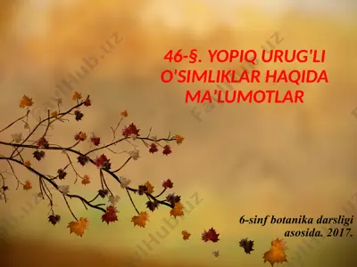 yopiq urug'li o'simliklar haqida ma'lumotlar. 6 - sinf — PPTX