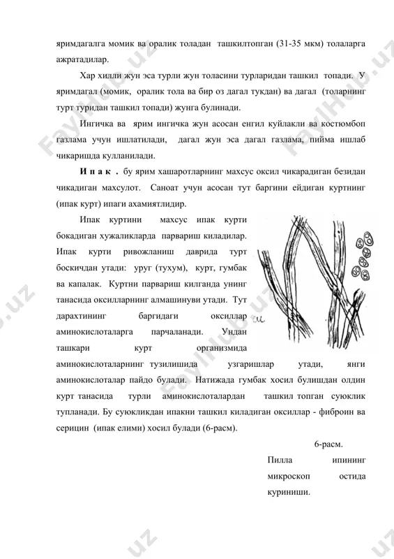 ак деб атайдилар. оксилли толаларнинг хоссалари. уларнинг физик-механик хоссалари асосан кимевий таркиби билан белгиланади. жун толасининг пишиклиги кичик, узайиши юкори булади, бу макромолекулаларни спиралсимон шакли билан боглик. узайишни кайиш кок ва эластик кисми устун келади. ипакнинг пишиклиги жунга нисбатан юкори булади, сабаби макромолекулаларни камрок тармокланиши ва зичрок жойлашишидадир. оксилли толалар целлюлозаларга нисбатан намни камрок ютадилар. бунда пишиклиги камаяди, чузилувчанлиги эса ортади (хусусан жунни). бу толалар 110 с (ипак) ва 130 с (жун)гача уз хоссаларини йукотмайди, 160-170 с дан кейин хоссаларда жиддий узгаришлар намоен булади. об-хаво таъсирида кератин ва фиброинли фото-киме деструкцияси утади, натижада толаларни механик хоссалари емонлашади. хусусан об-хавога ипак чидамсиз булади, 200 соат ташки мухит таъсирида колдирилган ипак пишиклигини 2 баравар йукотади. ипак мурт, эластиклиги паст ва гигроскопиклиги юкори булади. оксилли толалар ишкорни хато суюк эритмаларига чидамсиз булади, аммо минерал кислотани суюк ва органик кислотани куюк эритмаси таъсирида чидамлирок булади. фойдаланилган адабиётлар: 1.б.а.бузов и др. « материаловедение швейного производства. …
