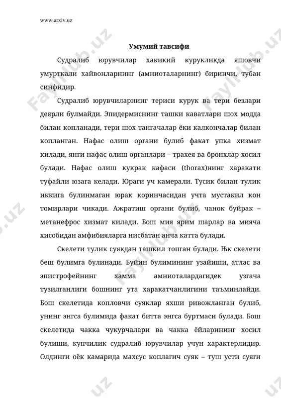 и судралиб юрувчилар синфи хозирги замонда яшаётган 6300 турни уз ичига олади ва улар 4 та туркумга булинади. 1. хартумбошлилар туркуми – rhynchocephalia 2. тангачалилар туркуми – squamata 3. тимсохлар туркуми – crocodilia 4. тошбакалар туркуми – chelonia 1. хартум бошлилар туркуми – rhynchocephalia бу туркумнинг хозирги замонда яшаётган ягона тури – гаттерия (sphenodon punctatus) хозирги вактда яшаётган судралиб юрувчилар ичида энг кадимгисидир (81-расм). гаттерия ташки куринишидан йирик калтакесакка ухшасада, бирок тузилишининг купгина хусусиятлари турнинг примитив эканлигидан далолат беради. одатда гаттериянинг буйи 75 см гача боради. боши ва танаси майда донадор тангачалар билан копланган. орка ва корин кисмидаги тангачалар нисбатан йирик пластинкалар шаклида булади. орка томони буйлаб учбурчак шох пластинкалардан иборат тарок жойлашади. гaттериянинг умурткалари амфицел типда, умуртка таналари орасида хорда сакланади. ковургаларнинг елка булимида оркага караган калта илмоксимон усимтаси (processus uncinatus) бор. бу белги факат тимсохларда ва кушларда булади. корин томонидаги терисининг остига коплагич суяклардан иборат корин ковургалари (parasternum) …