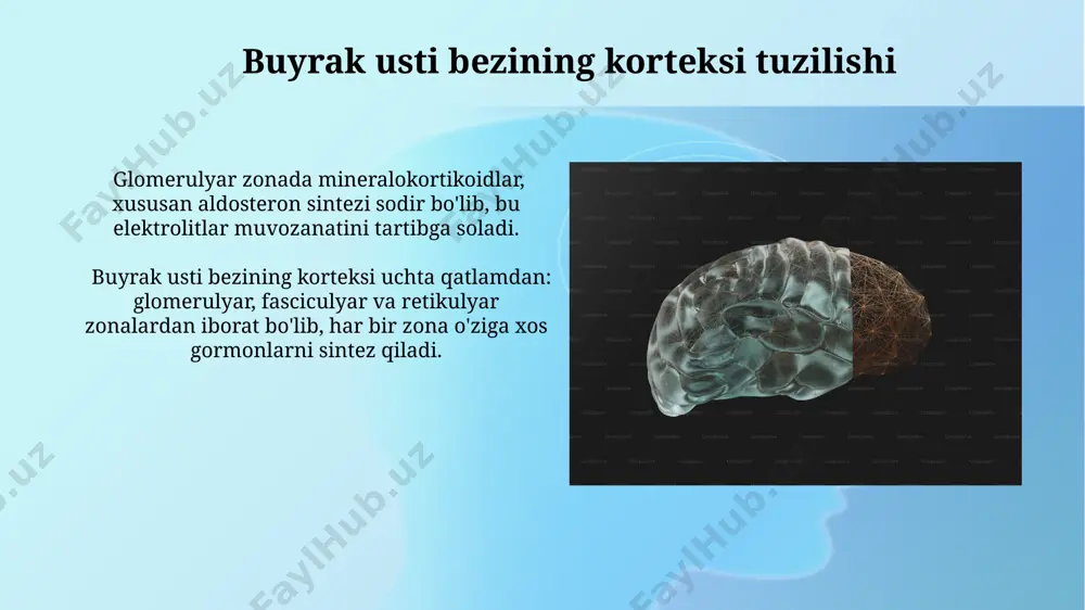 bolalarda suyak usti pardasini hususiyatlari - Page 4