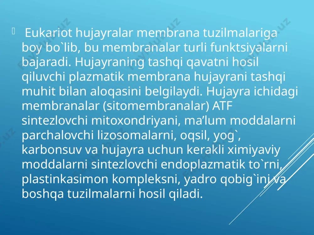 yrasining evolyutsiyasi davrida paydo bo`lgan. hujayra qobig`i modda almashinuvida ishtirok etish bilan barobar hujayra harakatini, ularning o`zaro bir-birini tanib olish, informatsiya almashish, bir-biri bilan birlashish, spetsifik ta’sirlarni qabul qilish kabi faoliyatlar majmuasini surunkali bajarib turadi hujayra ustki yuzasining maxsus tuzilmalari. ko`pgina hujayralarning ustki yuzasida - apikal plazmatik membrananing mayda o`simtalari bo`lgan mikrovorsinkalar ko`rinadi. ko`pincha mikrovorsinkalar betartib joylashadi. ingichka ichak jiyakli hujayrasining apikal qismidagi mikrovorsinkalar tartibli joylashgan. oddiy mikroskopda mikrovorsinkalar jiyaklar holida ko`rinadi, har bir hujayrada mikrovorsinkalar taxminan 3000 ta bo`lib, hujayraning apikal qismi maydonini o`ta kattalashtiradi. mikrovorsinkalar murakkab tuzilma hisoblanib , unda yuqorida aytib o`tilgan uch zonani (glikokaliks, plazmatik membrana va ichki zonani) farq qilish mumkin mikrovorsinkaning glikokaliks zonasi nozik ipsimon va donador elementlardan tashkil topgan bo`lib, u glikoproteid va glikolipidlardan iborat. glikokaliks enterotsit mahsuloti bo`lib, u sitoplazma qobig`ining tarkibiy qismidir. plazmatik membrana tarkibida juda ko`p gidrolitik va transport ferment sistemalar joylashgan. bu fermentlar glikokaliks fermentlari bilan bir qatorda moddalarning …