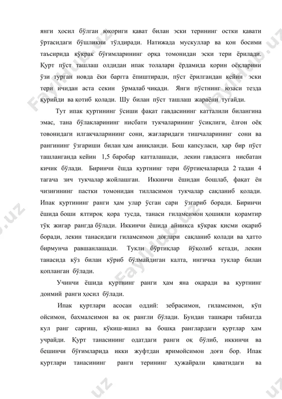 мускул боғламларининг айрим бирикмалари умумий ёки алоҳида пайлар ёрдамида бирор нуқтага бирикади ва бундан елпиғич ҳолида чиқиб, қарама-қарши томонларда жойлашган бир нечта нуқтага бирикади. ипак қуртларида тўғри чизиқ бўйлаб жойлашган мускул толалари пайлар орқали терининг икки қарама-қарши нуқтасига бирлашган. пайларнинг учлари тери қопламининг ички қаватидан ўтади ва кутикулага бирикади. бу ерда у тери қавати билан бирга таянч системасини ҳосил қилади. кўкрак ва қорин бўғимларида уч қават: ташқи, ўрта ва ички мускуллар жойлашган. ташқи қават кўндаланг мускуллардан, ўрта қават қийшиқ ва ички қават узунасига жойлашган мускуллардан иборат. вазифасига кўра эгувчи, букувчи, ўзатувчи, бурувчи, тушурувчи ва бошқа мускуллар бўлади. ташқи қаватнинг қисқа мускуллари тана бўғимларининг чеккаларидан эгади, улар ташқи ўсимталарни эгувчи ва букувчи, трахеяларни боғлаб турувчи, нафас тешиклари орасининг қисувчи мускуллардир. ўртадаги мускуллар танани ён томонга эгади. ички қаватдаги узунасига кетган мускуллар бир бўғимдан иккинчи бўғимга ўтади, яъни уларнинг учлари қўшни бўғимларда жойлашган нуқталарга бирикади, бу мускуллар қисқарганда бир бўғим иккинчисига томон …