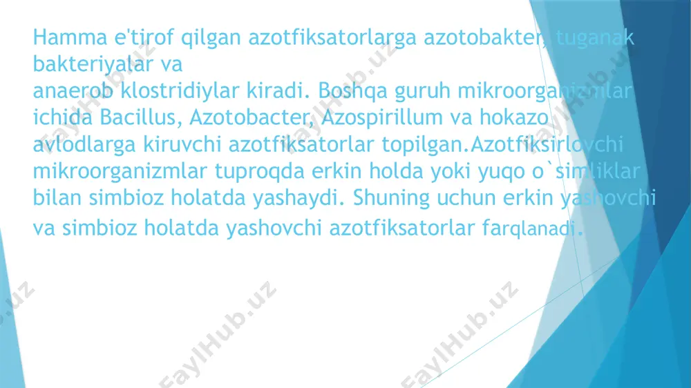 azotfiksator mikroorganizmlar va ularning tarqalish, rivojlanish fazalari - Page 5