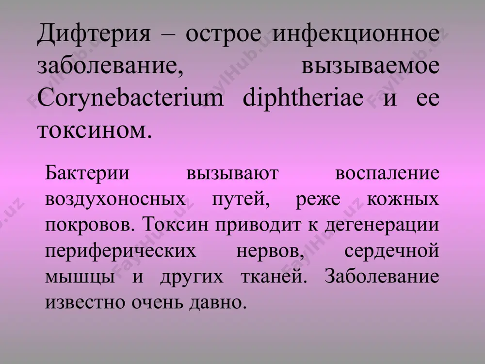 ментировать сахарозу и разлагать мочевину – дифференциальный признак, отличающий дифтерийную палочку от других коринебактерий. другой дифференциальный признак – способность разлагать цистин. c. diphtheriae продуцирует каталазу, гиалуронидазу, нейраминидазу, днказу, уреазу и др. цистиназная активность - дифференциальный признак c. diphtheriae. токсинообразование c. diphtheriae продуцирует мощный экзотоксин – основной фактор патогенности. нетоксигенные штаммы не вызывают развитие заболевания. в чистом виде токсин впервые получил э. ру и а. иерсен (1888). нативный токсин – полипептид с м около 72000; его образуют фрагменты а (проявляют ферментативную активность) и в (взаимодействуют с клеточными рецепторами, облегчая проникновение фермента а). клетки всех чувствительных органов способны рецептировать в-фрагмент и поглащать молекулу посредством эндоцитоза. строение токсина реакция на введение токсина токсин ингибирует белковый синтез в том числе и в миокарде , приводя к структурным и функциональным нарушениям, способным вызвать смерть больного. результат действия токсина на нервную ткань – демиелинизация нервных волокон, часто приводит к параличам и и парезам. способность к токсинообразованию …