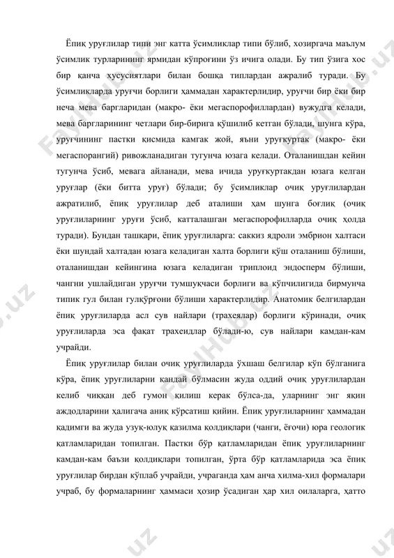 н, ўрта бўр қатламларида эса ёпиқ уруғлилар бирдан кўплаб учрайди, учраганда ҳам анча хилма-хил формалари учраб, бу формаларнинг ҳаммаси ҳозир ўсадиган ҳар хил оилаларга, ҳатто авлодларга киради (магнолиядошлар, лаврлар, буклар, толлар, тутлар ва бошқалар). ўсимликлар систематикасининг қуйи даражасида турган ҳар хил группалар — кейтониялар, уруғли қирққулоқлар, беннетитлар, гнетумлар (жумладан, гнетум ёки эфедра) ёпиқ уруғлиларнинг аждоди бўлган деб гумон қилинар эди. кейтонияларда тугунча, тумшуқча бор эди-ю, лекин уларда тугунча ёпиқ уруғлилардагидан бошқачароқ бўларди; уларда бир нав гулга ўхшаган нарса ҳам бўлмай, спорофиллари оддий тузилган эди, шунга кўра бу ўсимликлар, чамаси эволюциянинг тумтоқ бир шохидир. беннетитларда ўзига хос икки жинсли гуллари бўлгани билан уруғчиси йўқ эди, уларнинг уруғлари мегаспорофиллардан юзага келган мева ичида турмай, бепушт тангачалар орасида яширинган эди, холос. уруғли қирққулоқларда гул бўлмаган, уруғлар ҳам очиқ турган. ёпиқ уруғлилар гнетумлардан келиб чиққан деган назарияга кўра, энг оддий ёпиқ уруғлиларда бир жинсли майда-майда гуллар бор эди, бу гулларда гулқўрғони бўлмас ёки бўлса …