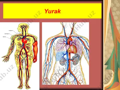 yurak — PPT