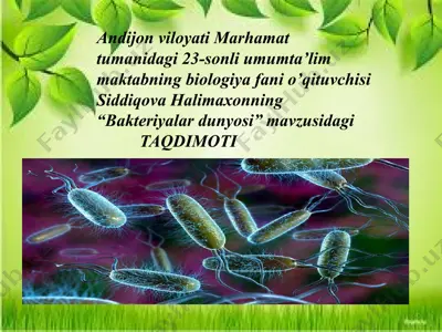 bakteriyalar dunyosi taqdimoti — PPTX