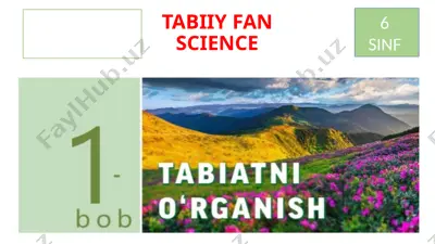 tabiiy fanlarning tadqiqot ob'yekti — PPTX