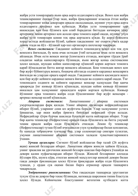 xos muskuli bor. u sfinkter vazifasini bajaradi. katta xalqumda qiya o'rnashgan bir qancha (150 yaqin) jabra yoriqlari bor. bu yoriqlar bevosita tashqariga ochilmasdan, maxsus jabra oldi (atrial) bo'shlig'iga ochiladi. atrial bo'shliq atriopora deb ataladigan teshik orqali tashqi muxitga tutashadi. jabra yoriqlari orqali tor jabra tusiqlari bilan bir-biridan ajralgan, bu to'siqlarda qon tomirlari bo'ladi. xalqumga kiradigan suv ichak nayi bo'shlig'ining hamma tomonini qoplab olgan kipriklarning tebranib harakat qilishi orqasida jabra to'siqlarini yuvib o'tadi, uning natijasida suvdagi kislorod jabra to'siqlarining ingichka qon tomirlarida oqib turgan qonga o'tadi. xalqumning ostki tomonida bezli egatcha endostil o'rnashgan, bu egatchaning ikki yon tomoni bor bo'yiga qator urnashgan xujayralar bilan tubi bir qator o'rnashgan uzun kiprikli xujayralar bilan qoplangan. endostildan chiqqan shilimshiq modda, undagi kipriklarning harakati natijasida endostilning egatchasidan oldinga, og'iz teshigi tomonga qarab oqib boradi, so'ngra xalqumni o'rab olgan kiprikli bo'laklar orqali yuqoriga ko'tariladi va nihoyat, jabra usti egatchasidan o'tib, orqaga ichakka tushadi. suvdagi muallaq ovqat …