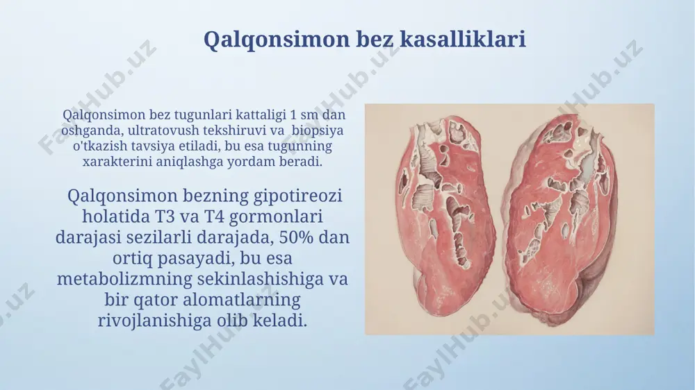 o‘zgartirishi mumkin. gipotalamus, 7 ta asosiy gormon ishlab chiqarib, adenohipofiz faoliyatini boshqaradi, shu bilan butun endokrin tizimning faoliyatini tartibga soladi va organizmning gomiostazini saqlaydi. buyrak usti bezi kasalliklari buyrak usti bezi giperplaziyasi, tug'ma giperkortisizmning asosiy sabablaridan biri bo'lib, 100000 chaqaloqdan 1-1,5 tasida uchraydi va kortizol, aldosteron va androgenlarning ortiqcha ishlab chiqarilishiga olib keladi. buyrak usti bezining birlamchi o'smalari, shu jumladan feoxromotsitoma (adrenalin va noradrenalin ishlab chiqaruvchi hujayralarning o'smasi) qon bosimining keskin oshishi va boshqa jiddiy asoratlarga olib kelishi mumkin, taxminan 1 million kishidan 1 tasida uchraydi. oshqozon osti bezi oshqozon osti bezi taxminan 15 sm uzunlikda va 2.5-7.5 sm kenglikda boʻlib, qorin boʻshligʻida, oshqozon orqasida joylashgan va uning vazni taxminan 80-100 grammni tashkil etadi. oshqozon osti bezi ikki asosiy gormon ishlab chiqaradi: insulin va glyukagon, ular qon shakarining (glyukoza) darajasini 70-100 mg/dl oraligʻida tartibga soladi. gormonlarning ta'siri qalqonsimon bez gormoni tiroksin (t4) va triyodtironin (t3) metabolizm tezligini 20-30% ga oshirib, …