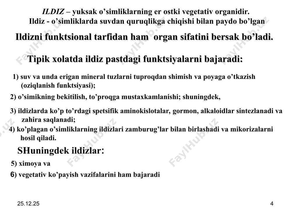 izlar deyiladi. * * ildiz shakllari va sistemalari turlari. 1, 4 — o’q ildiz; 5 — popuk ildizlar; 2, 3 — ildizmevalar (sabzi va lavlagi). agar ildiz tizimi asosiy o’q ildizdan hamda qo’shimcha ildizlardan tashkil topsa alloriz (yunon. allos - boshqa) ildiz sistemasi deyiladi. ildizlarning morfologik tiplarini tavsiflanganda yana bir qancha asosiy xususiyatlariga ahamiyat berish kerak bo’ladi. ya’ni, o’q ildiz tizimida – asosiy ildiz boshqa ildizlarga nisbatan kuchli rivojlangan bo’ladi. asosiy ildizdan qo’shimcha ildizlar paydo bo’lishi mumkin, lekin ular efemer ildizlar bo’lib, tezda nobud bo’ladi. popuk ildiz sistemasida asosiy ildiz sezilmaydi yoki yo’q. ildiz sistemasi qo’shimcha ildizlardan tashkil topadi. agar qo’shimcha ildizlar qisqargan vertikal ildiz poyada hosil bo’lsa, cho’tkasimon ildiz sistemasi shakllanadi (bir pallali o’simliklarda). * * agar qo’shimcha ildizlar uzun gorizantal ildiz poyalarida hosil bo’lsa – baxromasimon ildizlar sistemasi shakllanadi. ba’zida gorizontal ildiz poyalarda hosil bo’lgan qo’shimcha ildizlar yo’g’onlashib, kuchli shoxlanib, ikkilamchi o’q ildiz tizimini hosil qiladi (beda, ayiqtovon). …