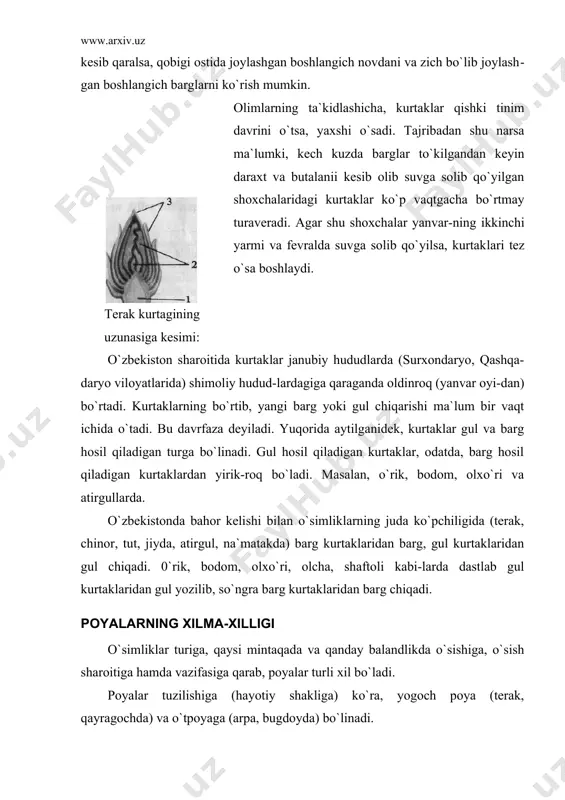 , mirzaterakning balandligi 20—25 m ga yetsa, kaliforniyadagi sekvoyadendronlarniki 130—135 m, avstraliyadagi evkaliptlarniki 150 m bo`ladi. shuningdek, janubiy osiyoning tropik o`rmonlarida boshqa daraxtlarga chirmashib o`sadigan rotang palmasi poyasining uzunligi 400 m ga yetishi barchani qiziqtiradi. poyalar shoxlagan (olma, yongoq), shoxlamagan (palma), bargli giyda, do`lana) yoki bargsiz (saksovul, qandim) bo`ladi. shuningdek, tik (archa, dalachoy), o`rmalab o`sadi​gan (qulupnay, ajriq) yoki palak otib (qovun, tarvuz), boshqa narsalarga ilashib (tok, qozonsochiq), chirmashib (karnaygul, qo`ypechak) o`sadiganlari ham bor (36- rasm). poyalarning yo`gonligi ham har xil. bular orasida ipsimon-dan (pechaklar) to diametri 10—11 m gacha (baobob daraxti va adenium daraxti) yetadigan salobatli xillari ham bor. poya​lar silliq (chinor), tikanli (yantoq), qirrali (rayhon), yuma-loq (bugdoy), yassi (kartoshka) bo`ladi. tabiatda shakli o`zgargan ildizpoya (ajriq, guma.y) va tugunak (kartoshka, boshpiyoz) kabi poyalar kolplab uchraydi. shakli o`zgargan poyalar bilan kelgusi mavzularda batafsil tanishiladi.demak, poyalar tuzilishiga va o`sishiga ko`ra, yogoch va o`t poyalarga bo`linib, shakli, uzunligi va yo`gonligi turlicha bo`ladi. turli …