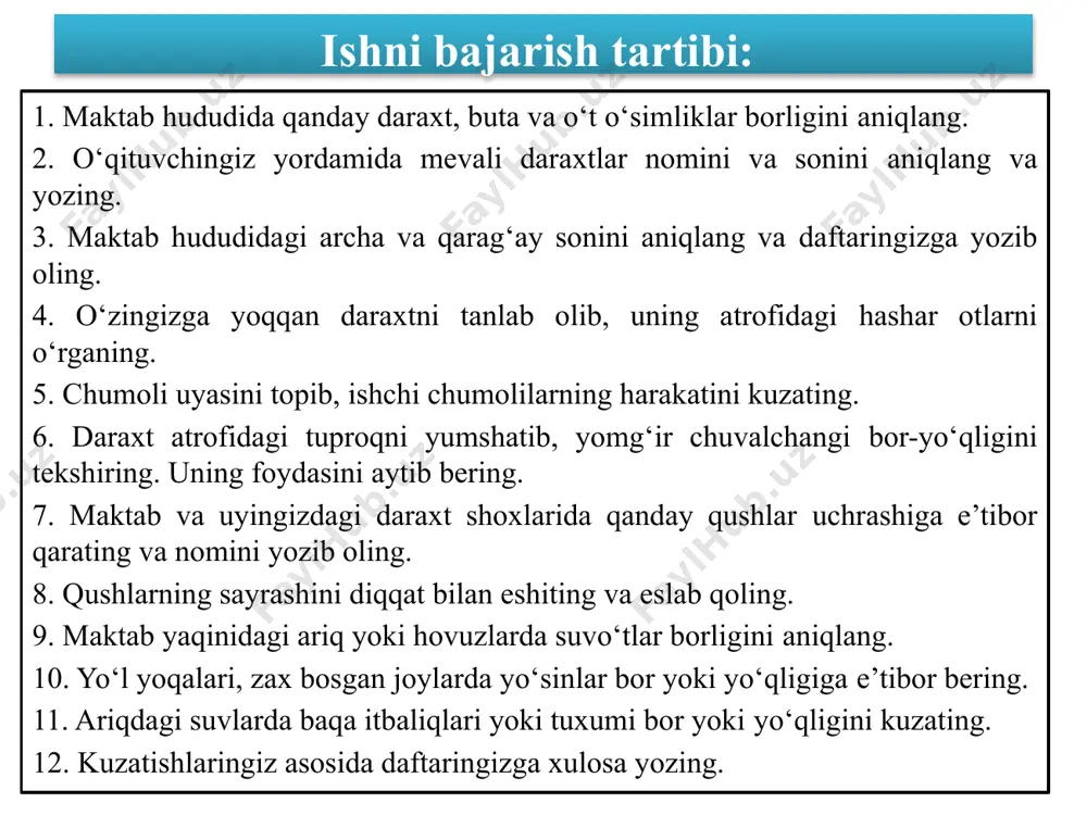 ting. ozuqa zanjiriga oid mashqlar bajaramiz. ozuqa zanjiriga oid mashqlar bajaramiz. ozuqa zanjiriga oid mashqlar bajaramiz. 1-savol. quyidagi berilgan organizmlar ishtirokida o‘tloq tipidagi oziq zanjirini tuzing: tog‘terak, qizilishton, chittak, laylak, oq qayin, kapalak qurti, kalxat. ozuqa zanjiriga oid mashqlar bajaramiz. 2-savol. quyidagi berilgan organizmlar ishtirokida detrit tipidagi oziq zanjirini tuzing: ilon, nobud bo‘lgan qush, tuproq bakteriyalari, pashsha lichinkalari, baqa, mog‘or zamburug‘lari, mineral moddalar. vazifa oʻtilgan mavzularni takrorlash va har bir mavzudan bittadan test savollari tuzish. maktab hududida kuzatgan oʻsimlik va hayvonlarning rasmini daftarga chizish. image1.emf image2.emf image3.emf image4.emf image5.png image6.png image7.png image8.png image9.png image10.png image11.png image12.png