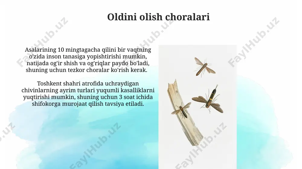 ilon va hasharotlar chaqqanda birinchi yordam ko'rsatish - Page 5