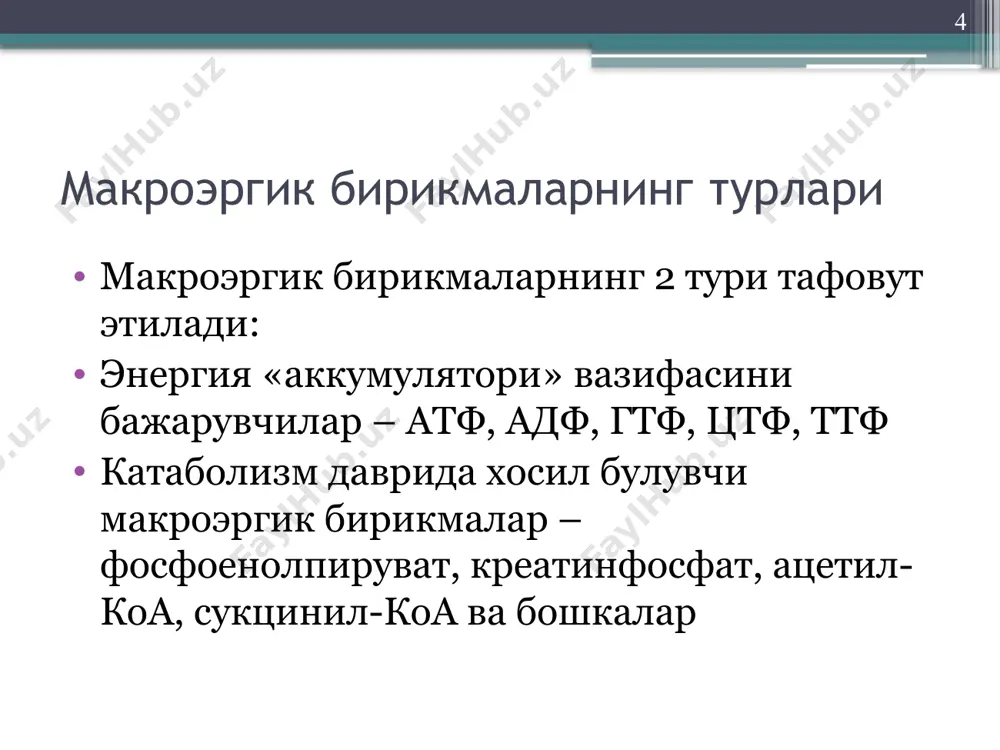 га киритилиши билан боради. аммо электрон ва протонлар тугридан-тугри кислород билан бирикмай, балки специфик ферментлар ва коферментлар иштирокида содир булади. 13 биологик оксидланишда иштирок этувчи ферментлар: протон ва метаболитдан кисэлектронларни оксидланаётган лородга утказилиши куйидаги 4 гурух ферментлар иштирокида булади: 1. пиридинга боглик булган дегидрогеназалар; 2. флавинга боглик булган дегидрогеназалар; 3. убихинон; 4. цитохромлар. 14 пиридинга боглик дегидрогеназалар бу дегидрогеназаларнинг коферменти булиб над ва надф хисобланади. 15 флавинга боглик дегидрогеназалар простетик гурух сифатида фад ёки фмн саклайди 16 цитохромлар 1886 йилда макманн томонидан очилган, 1925 йилда кейлин уларни цитохромлар деб атаган. спектрал хусусиятлари билан фаркланувчи 5 хил цитохромлар тафовут этилади: в,с, с1, а, а3 барча цитохромлар молекуласида гем сакланади. цитохром с молекуласида 103дан 112гача аминокислота колдиги булади. улар бир-биридан 67-84 оралигидаги аминокислоталар билан фаркланадилар. 17 цитохромларнинг турлари: цитохром а ва а3 цитохромоксидаза деб аталади. липид сакловчи гемпротеид. мол.огирлиги 300000. икки атом мис саклайди. цитохром а –мис---цитохром а3---о2 18 нафас олиш занжири …
