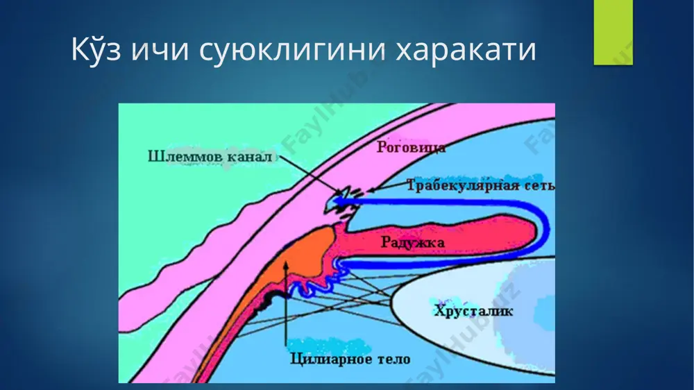ppt/media/image25.png ppt/media/image26.png ppt/media/image27.png ppt/media/image28.png ppt/media/image29.png ppt/slides/slide33.xml ppt/slides/slide34.xml ppt/media/image30.jpeg ppt/media/image31.png ppt/media/image32.png ppt/slides/slide35.xml ppt/media/image33.png ppt/slides/slide36.xml ppt/media/image34.png ppt/media/image35.jpeg ppt/media/image36.png ppt/media/image37.jpeg ppt/media/image38.png ppt/media/image39.jpeg ppt/slides/slide37.xml ppt/drawings/vmldrawing4.vml ppt/media/image40.wmf ppt/media/image41.wmf ppt/media/image42.wmf ppt/slides/slide38.xml ppt/drawings/vmldrawing5.vml ppt/media/image43.wmf ppt/media/image44.wmf ppt/media/image45.wmf ppt/media/image46.wmf ppt/slides/slide39.xml ppt/drawings/vmldrawing6.vml ppt/media/image47.wmf ppt/media/image49.emf ppt/media/image48.emf ppt/slides/slide40.xml ppt/media/image50.png ppt/slides/slide41.xml ppt/media/image51.png ppt/slides/slide42.xml ppt/media/image52.png ppt/slides/slide43.xml ppt/media/image53.wmf ppt/media/image54.wmf ppt/slides/slide44.xml ppt/media/image55.jpeg ppt/media/image56.jpeg ppt/slides/slide45.xml ppt/slides/slide46.xml ppt/slides/slide47.xml ppt/media/image57.png ppt/media/image58.png ppt/media/image59.png ppt/slides/slide48.xml ppt/media/image60.png ppt/slides/slide49.xml ppt/media/image61.png ppt/slides/slide50.xml ppt/media/image62.png ppt/slides/slide51.xml ppt/media/image63.png ppt/slides/slide52.xml ppt/slides/slide53.xml ppt/slides/slide54.xml ppt/slides/slide55.xml ppt/media/image64.png ppt/slides/slide56.xml ppt/media/image65.png ppt/slides/slide57.xml ppt/media/image66.jpeg ppt/media/image67.png ppt/media/image68.png ppt/media/image69.png ppt/slides/slide58.xml ppt/slides/slide59.xml ppt/slides/slide60.xml ppt/media/image70.png ppt/slides/slide61.xml ppt/slides/slide62.xml ppt/slides/slide63.xml ppt/slides/slide64.xml ppt/media/image71.png ppt/media/image72.png ppt/media/image73.png ppt/media/image74.png ppt/slides/slide65.xml ppt/slides/slide66.xml ppt/slides/slide67.xml