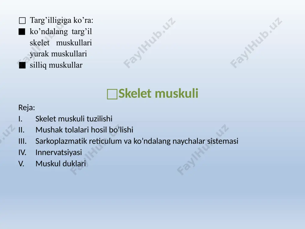 ) □yurak muskuli tipik kardiomiotsitlar yurak muskul to’qimasining asosiy elementi tipik miotsitlar bu hujayralar slindrik shaklda, o’z asosi bilan uchma-uch birikib, funksional tolani hosil qiladi funksional tolalarda qo’shni kardiomiotsitlar kontakt joyi – oraliq disklar deyiladi oraliq disk sohasida kardiomiotsitlar orasida 3 xil kontakt turi bor: interdigitatsiya desmosoma neksuslar ! qo’shimcha hujayra elementlari miosatellit yoki kambial hujayralar yurak muskul to’qimasida yo’q kardiomiotsitlarning o’zi bola tug’ilgan vaqtda yoki hayotining 1-oyida bo’linish xususiyatini yo’qotadi shu sabab regeneratsiyada yangi kardiomiotsitlar va funksional tolalar shakllanaydi, faqatgina saqlangan hujayralar gipertrofiyasi hisobiga amalga oshadi membrana sistemasi t naychalar soni ko’p va yirikroq sarkoplazmatik to’r esa yaxshi rivojlanmagan (terminal sisternaga ega emas), shu sabab diada deyiladi. ko’plab mitoxondriya tutadi, sitoplazma hajmining 40% ni egallaydi. (skelet muskul 2%) mitoxondriya ko’pligi yurak muskulining uzluksiz aerob meobolizmga ehtiyojini ifodalaydi. gistokimyoviy xususiyatlari mitoxondriyalar bilan bir qatorda ko’plab mioglobin va lipid tomchilari bor glikogen granulalari esa nisbatan kam oksidlanish substrati – yog’ kislotalari …