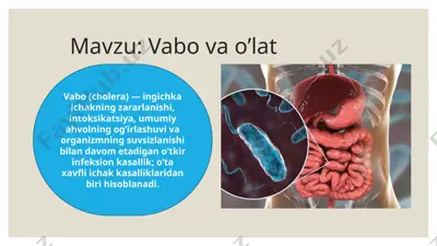 vabo va o’lat — PPTX