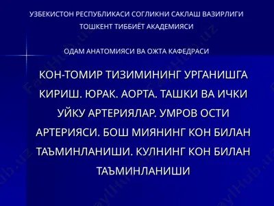 одам анatомияси ва ожтa кафедраси — PPT
