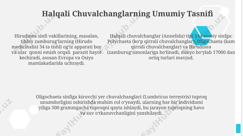 halqali chuvalchanglar - Page 5