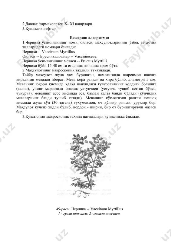 vaccinum myrtillus 1 - гулли шохчаси; 2 -мевали шохчаси. 4.маҳсулот дф x--xi нашрларидаги таҳлилга таққосланади. дф x нашрига кўра маҳсулот намлиги 18%, умумий кули 3%, 10% нс1 да эримайдиган кули 0,8%, поя ва барг аралашмалари 0,25%, пишмаган, кўйган ва мева бандидан тозаланмаган мевалар 1%, органик аралашмалар 2% дан (шу жумладан бошка мевалар аралашмаси 0,5%) ва минерал аралашмалар 0,5% дан ошмаслиги лозим. эслатма! маҳсулотда заҳарли ва еб бўлмайдиган мевалар аралашмаси (итжумрут, франгула ва маржон дарахти ўсимликларининг меваси, арча ғудда меваси) бўлмаслиги керак. амалий иш № 2 зангвизорба ўсимлиги маҳсулотининг макроскопик таҳлил қилиш. (50-расм). керакли анжомлар: 1.зангвизорба ўсимлигининг маҳсулоти (илдизи ва илдизпоя). 2.дф x--xi нашрлари. 3.кундалик дафтар. бажариш алгоритми: 1.зангвизорба ўсимлигининг номи, оиласи, маҳсулотининг ўзбек ва лотин тилларидаги номлари ёзилади. зангвизорба, доривор кўкат -- sanguisorba officinalis. оиласи -- раъногулдошлар -- rosaceae. зангвизорба ўсимлигининг илдизи ва илдизпояси -- rhizoma et radix sanguisorba. 2.маҳсулотнинг макроскопик таҳлили бажарилади. тайёр маҳсулот катта-кичик илдизпоядан ва унга бириккан …