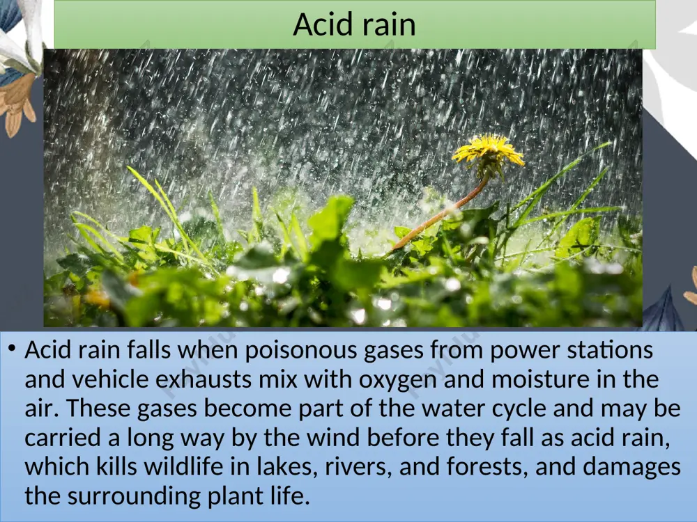 ecological problems - Page 5
