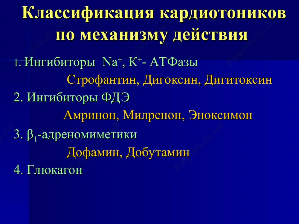 аются его размеры и сокращается потребность в кислороде отрицательное хроноторопное действие – это уменьшение чсс из-за снижения автоматизма синусового узла. это происходит в результате повышения тонуса блуждающего нерва при стимуляции барорецепторов дуги аорты и каротидного синуса. * * отрицательное дромотропное действие – это удлинение рефрактерного периода атриовентрикулярного узла , поэтому количество импульсов, проходящих через этот узел за единицу времени снижается. положительное батмотропное действие – это повышение возбудимости и автоматизма миокарда. из-за повышения содержания ионов кальция и снижение концентрации ионов калия в клетках миокарда развивается электрическая нестабильность кардиомиоцитов, что проявляется различными аритмиями. * * экстракардиальные эффекты: диуретическое действие нейромодулирующее действие седативное действие стимулирующее действие на гладкую мускулатуру принципы дозирования сг 1- ый этап: введение нагрузочной дозы, которая создает в крови терапевтическую концентрацию сг. 2- ой этап: введение поддерживающей дозы. эта доза равна количеству сг, которое элиминируется из организма в течение суток. величины этих доз определяют, используя показатели количественной фармакокинетики гликозида для …