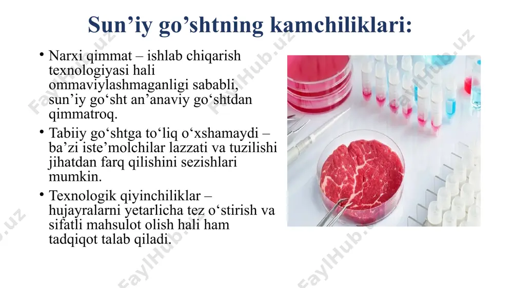 sun’iy go’sht - Page 5