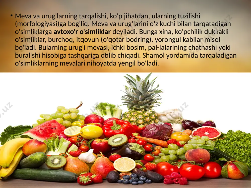 meva va urug'larning tarqalishi. 6 - sinf - Page 4