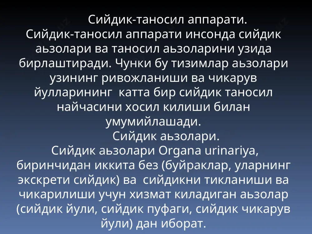 ташланса, буйрак паренхимасига йуналган ковак колади ва sinus renalis дейилади. унинг буйлама уки буйрак буйлама укига тугри келади. буйракнинг олд юзаси буртик, орка юзаси эса ботикрок. буйрак топографияси. унг ва чап буйракларнинг бошка аьзоларга нисбатан жойлашувлари турлича. унг буйракнинг юкори учи буйрак усти безига, ундан пастрок катта юзаси жигарга, пастки 1/3 кисми flexura soli dextra га, медиал киргоги эса duodenum нинг пастга тушувчи кисмига тегиб туради. унг буйракнинг пастки учи корин пардага тегиб туради. чап буйракнинг юкори учининг олд юзасига буйрак усти бези тегиб туради. ундан пастроги, буйракнинг 1/3 кисми ошкозонга, урта 1/3 кисми ошкозон ости безига, олд юзасининг латерал четининг юкори кисми талокка, пастки учининг медиал томони ингичка ичакка, латерал томони эса флехура cоли синистра га тегиб туради. иккала буйракнинг орка юзасининг юкори кисми диафрагмага, хii- ковургадан пастрокда . mm psoas mayor et quadratus lumborumga га тегиб туради. юкорида айтилган бу мускуллар буйрак уриндигини ташкил этади. буйрак пардалари. буйрак …