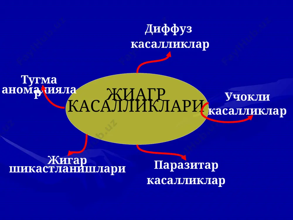 жигар касалликлари - Page 5