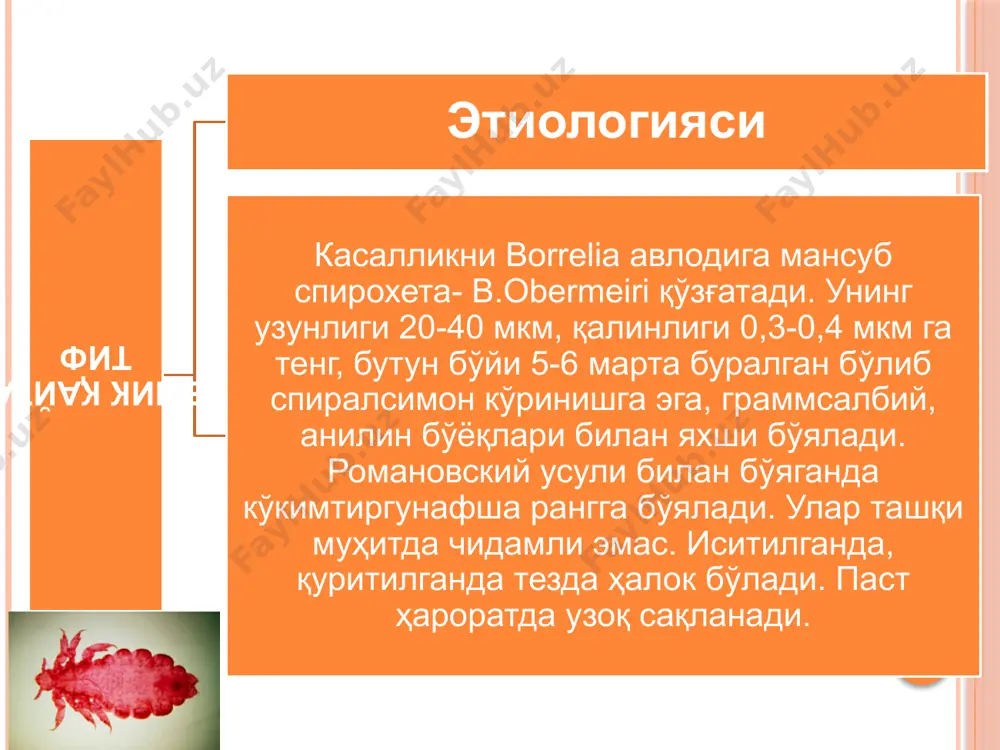 borrelioz - Page 5