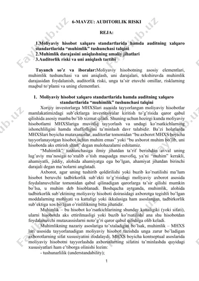 auditorlik riski — DOCX
