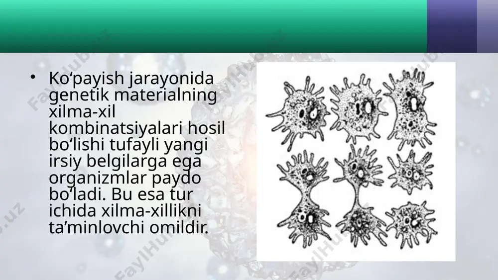 organizmlarning ko‘payishi. jinssiz ko‘payish. 10 - sinf - Page 3