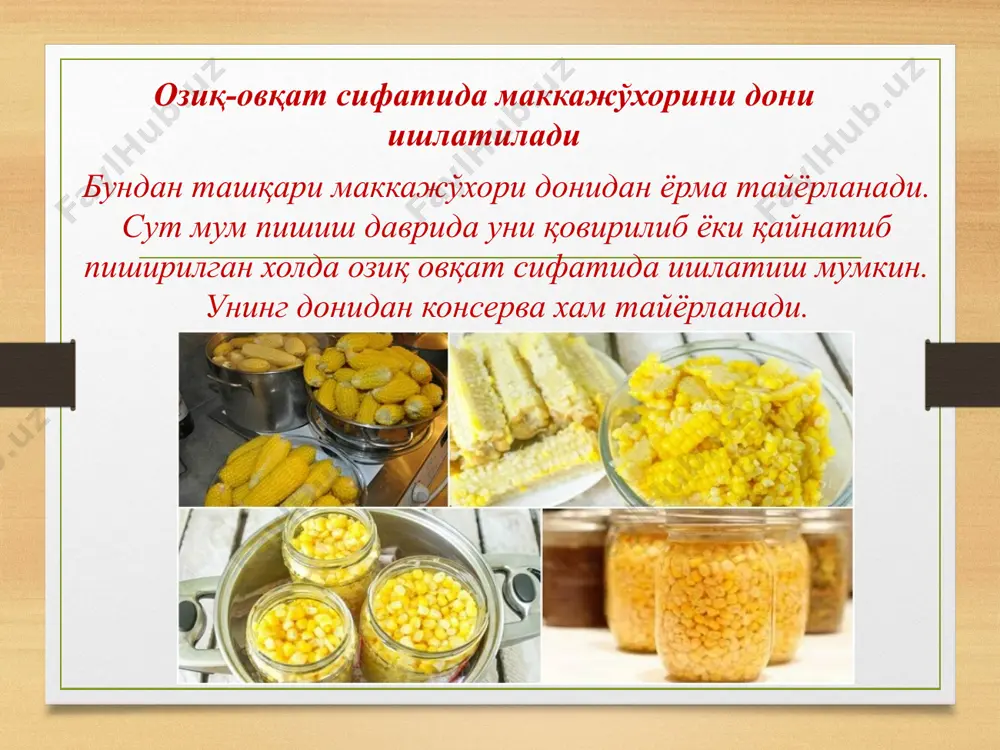 маккажўхорини етиштириш технологияси - Page 3