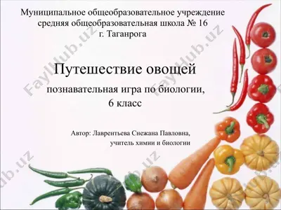 путешествие овощей — PPTX