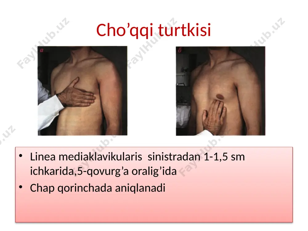 cho’qqiturtkisi - Page 2