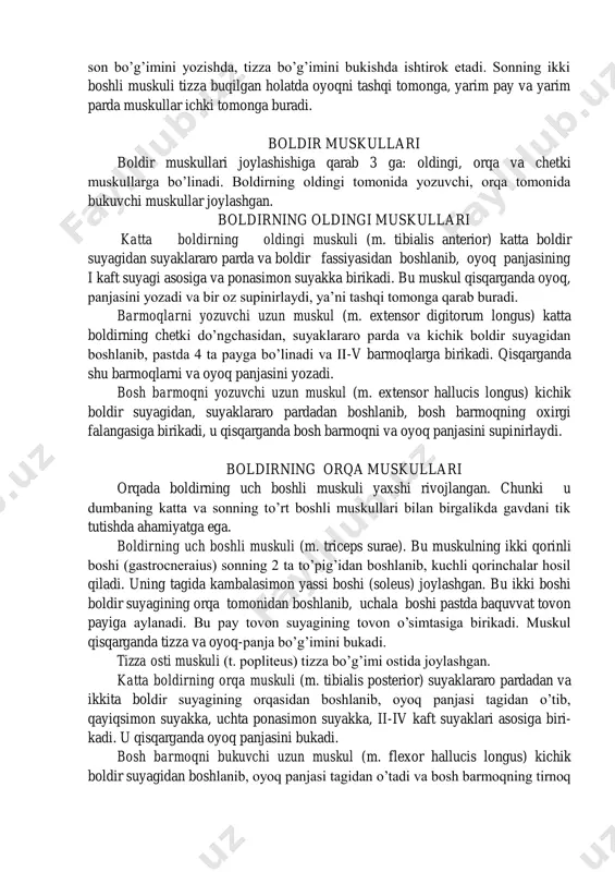 rto-rius) organizmdagi eng uzun muskul bo’lib yonbosh suyagining oldingi ustki o’sig’idan boshlanib, sonning orqasiga o’tadi va katta boldir suyagining medial tomoniga birikadi. bu muskul ikkita bo’g’imdan o’tib qisqarsa, ikkala bo’g’imni bukadi, boldirni ichki tomonga buradi. sonning keng fassiyasini tortuvchi muskul (m. tensor fasciae latae) sonning yon tomonida joylashgan. u yonbosh suyagining oldingi yuqorigi o’sig’idan boshlanib, sonning fassiyasiga birikadi. qisqarganda fassiyani tortish bilan sonni bukadi. sonning ichki tomonida yaqinlashtiruvchi muskullar joylashgan. sonning orqa tomonidagi muskullar sonning ikki boshli muskuli (m. biceps femoris) chetki tomonda joylashgan. uzun boshi o’tirg’ich do’ngchasidan, kalta boshi son suyagining g’adir- budurligidan boshlanib, ikkala boshi birlashib, pastda kichik boldir suyagining boshidagi cho’qqiga birikadi. bu muskul qisqarganda, tos-son bo’g’imini yozishda, tizza bo’g’imini bukishda ishtirok etadi. yarim pay muskul (m. semitendinosus) o’tirg’ich do’ngchasidan va son suyagidan boshlanib, uzun payi bilan katta boldir suyagining medial tomoniga birikadi. yarim parda muskul (m. semimembranosus) keng payi bilan o’tirg’ich do’ngchasidan, son suyagining opqa tomonidan …