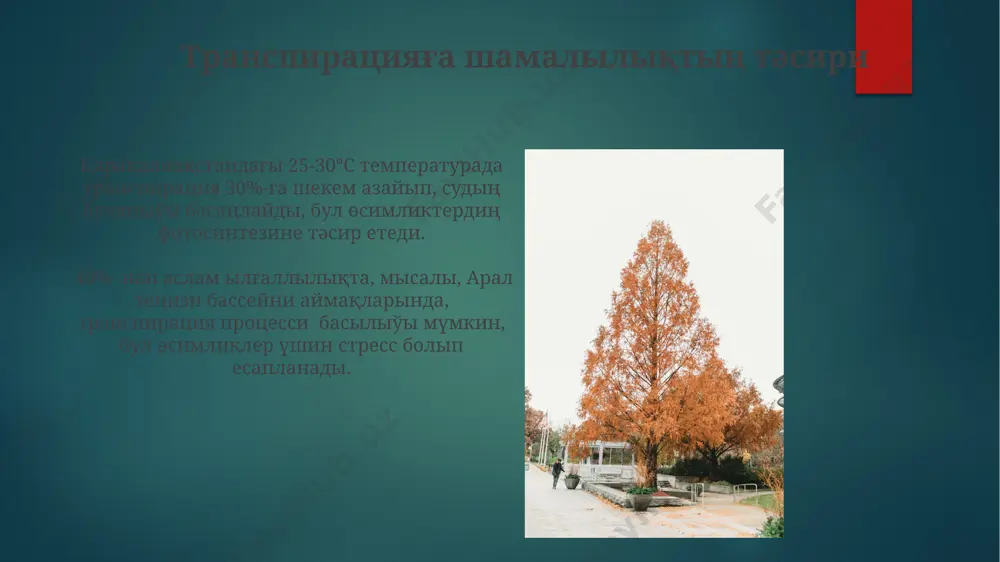 ға температураның тәсири 15°c температурада, европаның солтүстик аймақларындағы өсимликлерде транспирацияның жылдамлығы 5-7 есеге азайып, өсиў процесси баяулайды. температура 30°c дан жоқары болғанда, арал теңизи бассейни бойындағы өсимликлерде транспирация процесси 20%-ке шекем артып, су балансына терис тәсир етеди. транспирация процессиниң механизмлери ксилема тамыр системасынан суды жапырақларға жеткиреди, бул процессте кавитация деген процесс болып, су бағанының үзилиўине алып келеди. бул процесс, мисалы, американың шөл аймақларындағы өсимликлерде көп байқалады. транспирацияның жылдамлығына температура, ауаның салыстырмалы ылғаллығы ҳәм желдиң күши сияқлы факторлар тәсир етеди. мысалы, 30°c температурада ҳәм 50% салыстырмалы ылғаллыкта, желдиң болмаўында, транспирация жылдамлығы саатта 10 мл ге жетеди. транспирацияның өсимликке зияны күшли транспирация арал теңизи бассейни регионларында, 50% ге шекем суў ресурсларының жоғалтыўына алып келип, өсимликлердиң стресске түсиўине себеп болады. транспирацияның күшлигинен, 30°c жылылыкта, 1 гектар пахта бадасы 400 литрге шекем суў жоғалтыўы мүмкин, бул өним бериўди азайтады. транспирацияға топырақтың тәсири топырақтың минераллы қурамы, атап айтқанда, калийдин жетпеўи, өсимликтердин суды сіңириўин 10-15% кемейтип, …